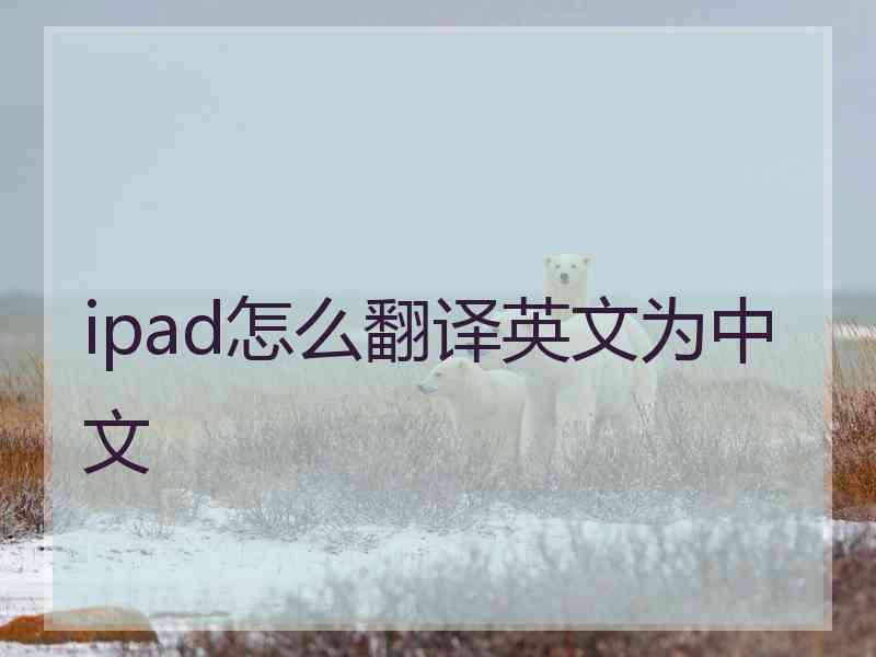 ipad怎么翻译英文为中文