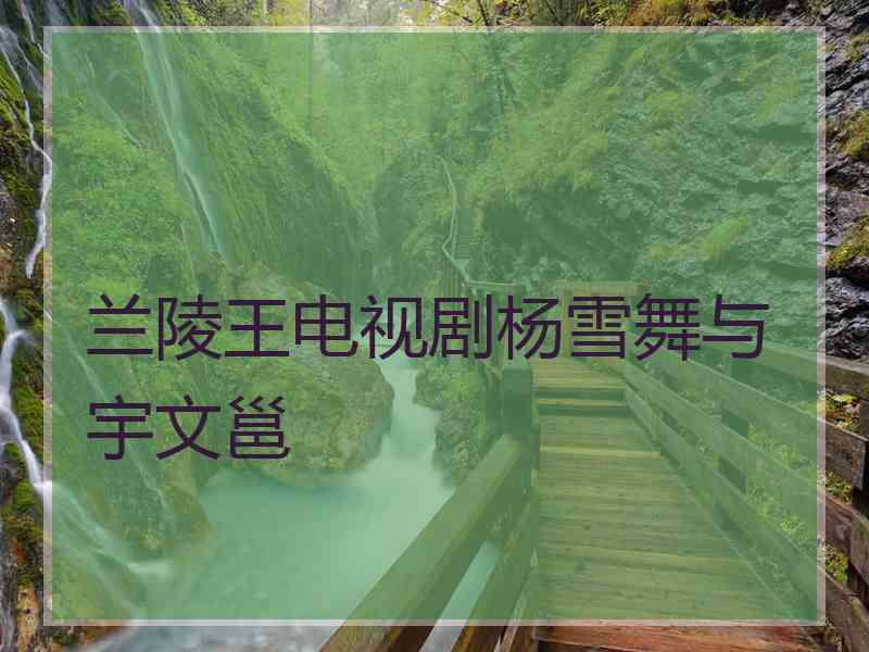 兰陵王电视剧杨雪舞与宇文邕