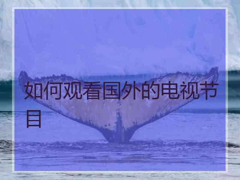 如何观看国外的电视节目