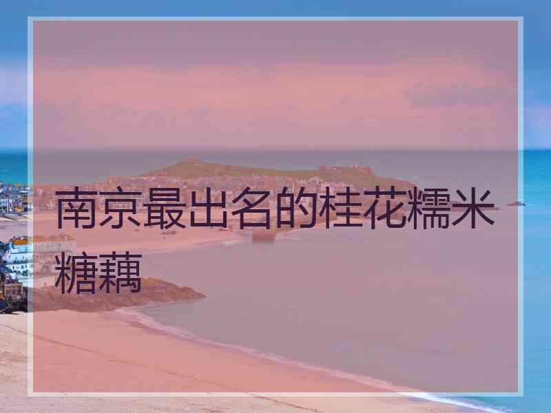 南京最出名的桂花糯米糖藕