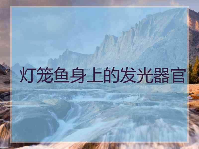 灯笼鱼身上的发光器官