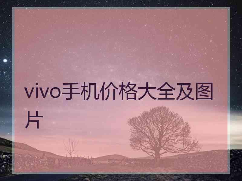 vivo手机价格大全及图片