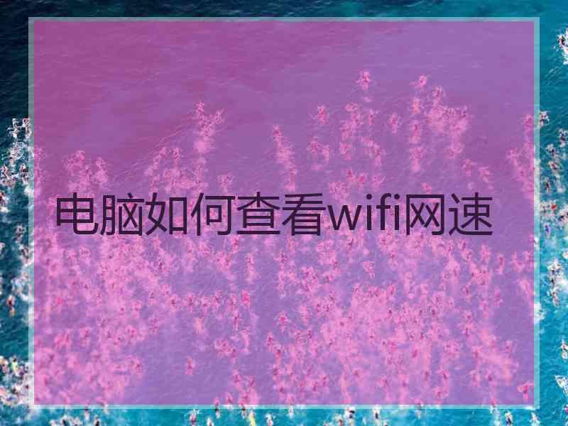 电脑如何查看wifi网速