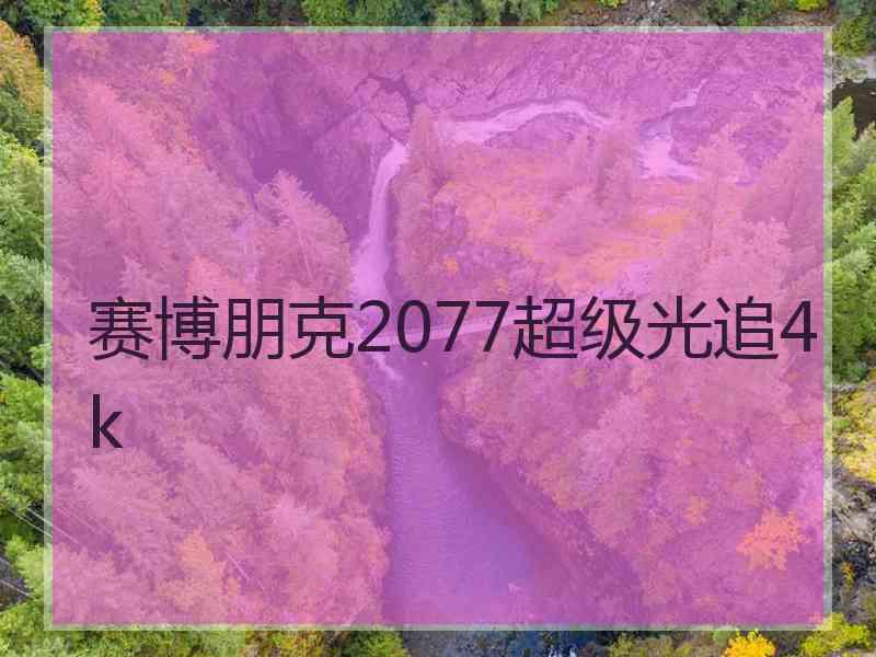 赛博朋克2077超级光追4k