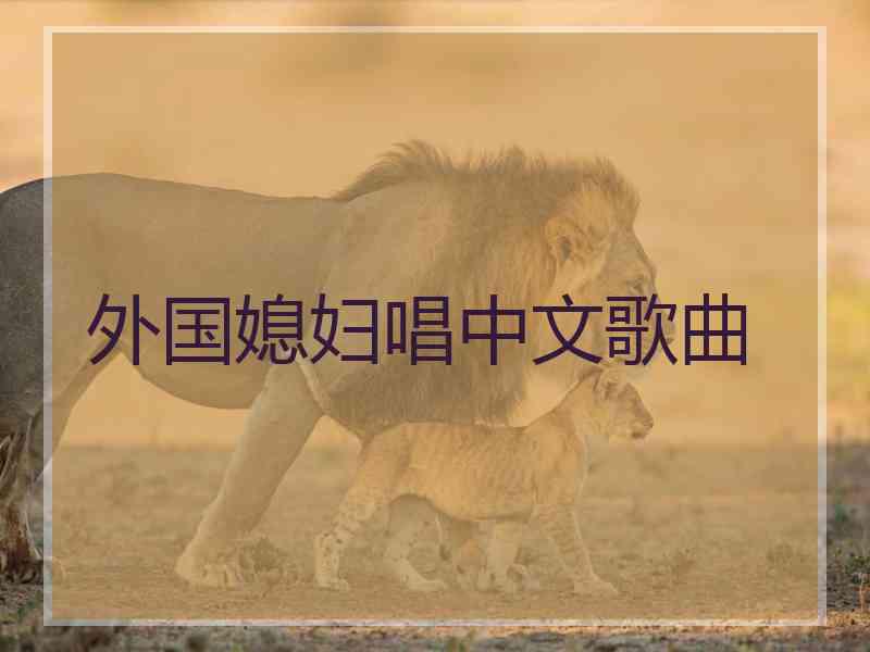 外国媳妇唱中文歌曲