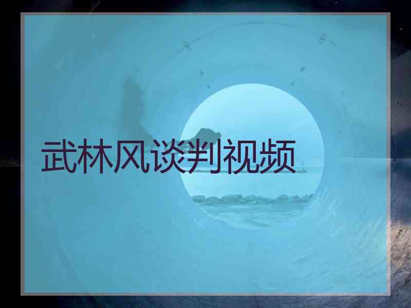 武林风谈判视频