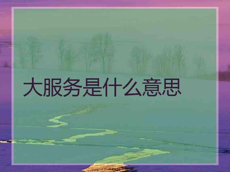 大服务是什么意思