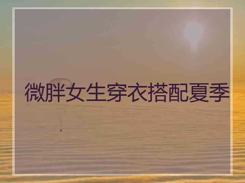 微胖女生穿衣搭配夏季