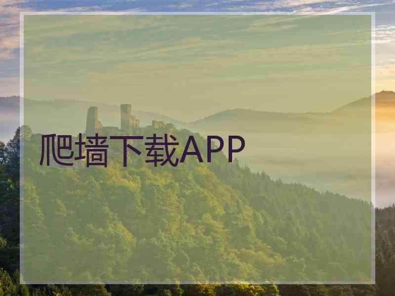 爬墙下载APP