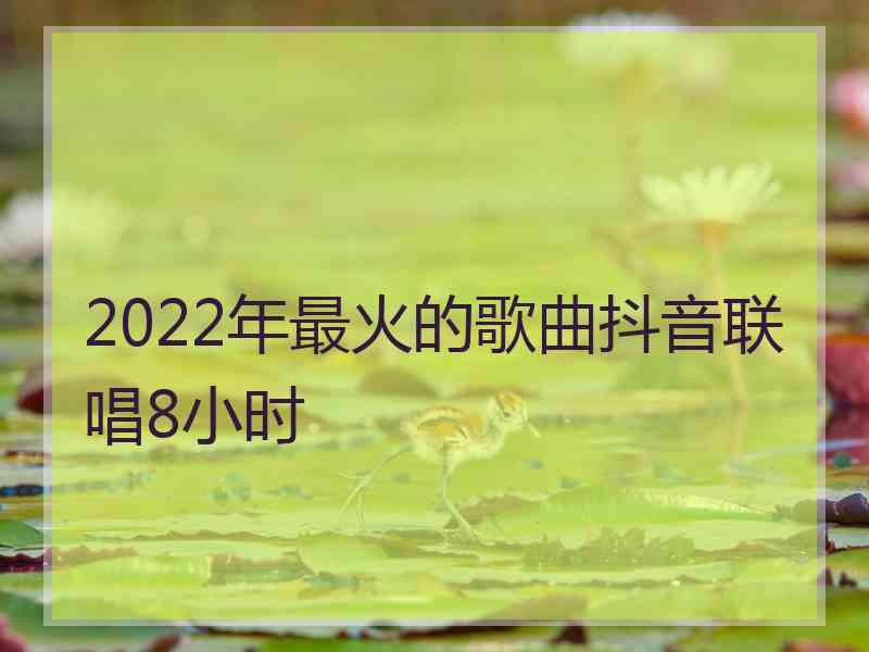 2022年最火的歌曲抖音联唱8小时