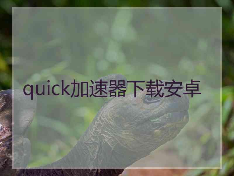 quick加速器下载安卓