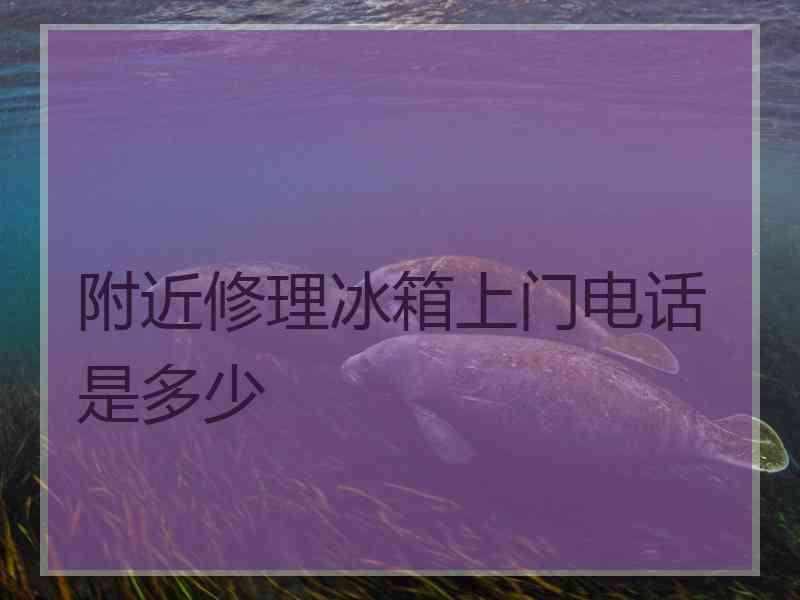 附近修理冰箱上门电话是多少