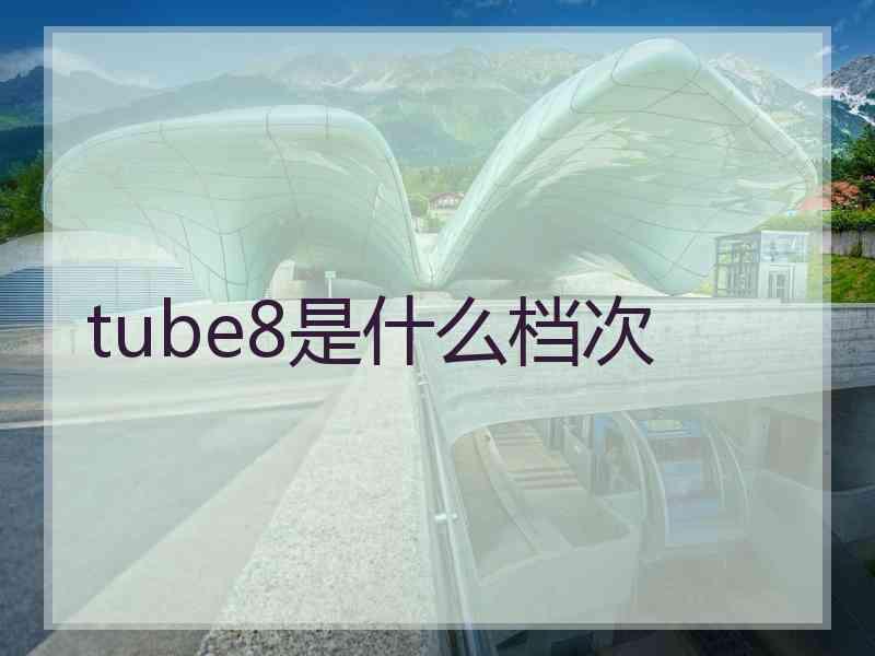 tube8是什么档次