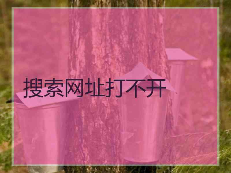 搜索网址打不开