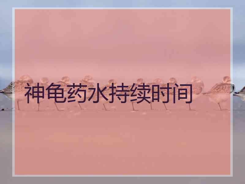 神龟药水持续时间