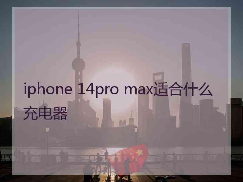 iphone 14pro max适合什么充电器