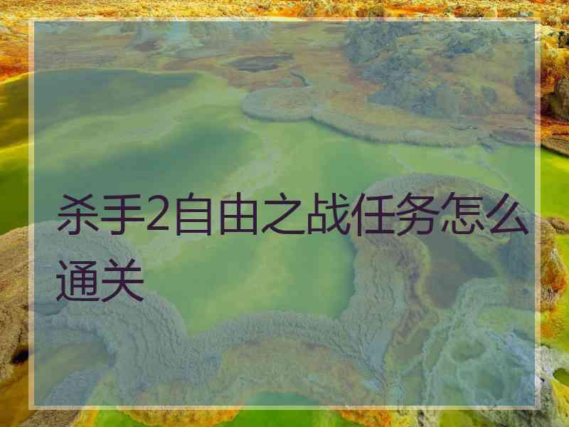 杀手2自由之战任务怎么通关
