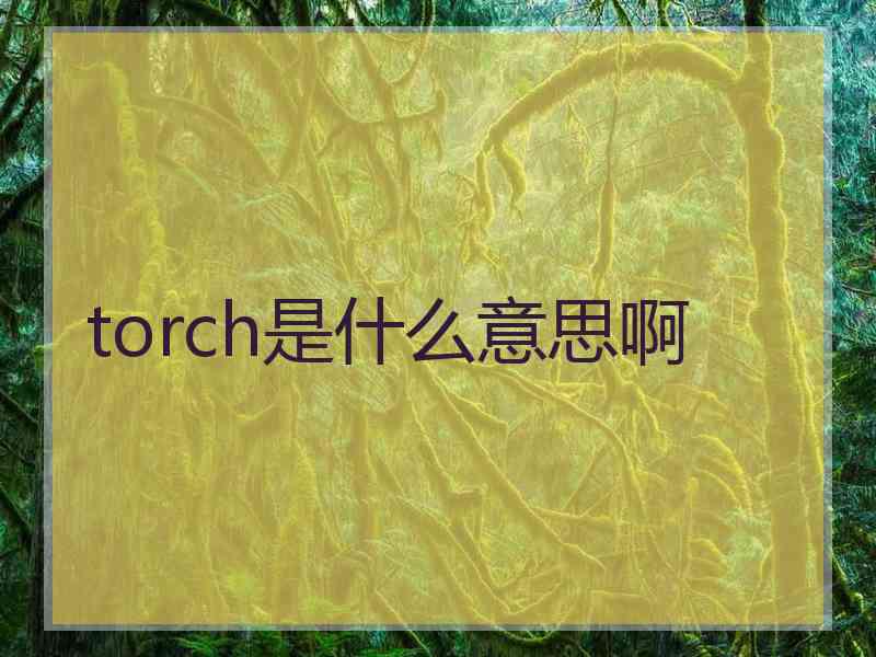 torch是什么意思啊