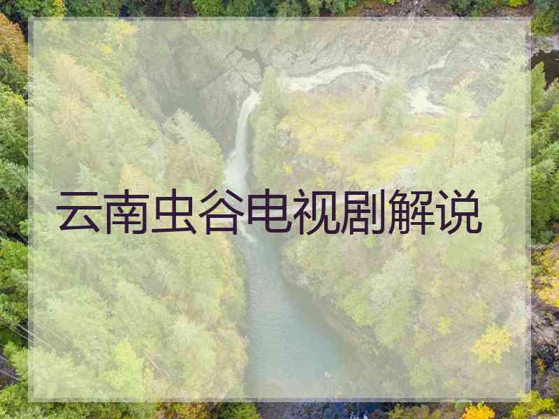 云南虫谷电视剧解说