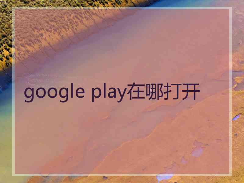 google play在哪打开