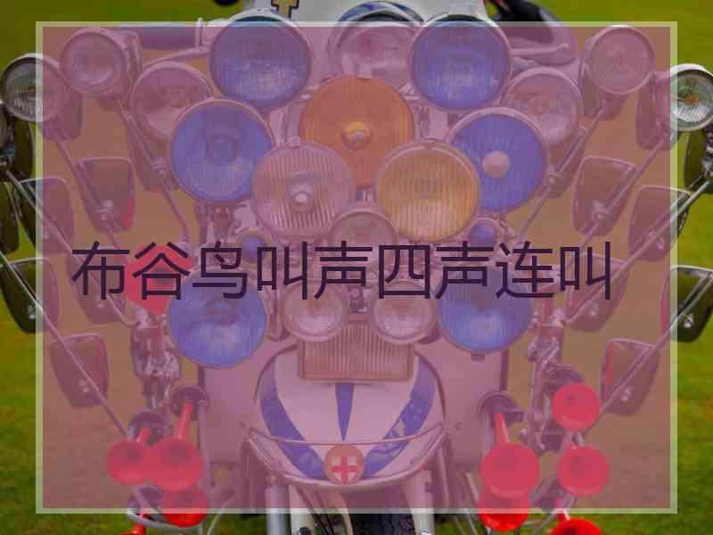 布谷鸟叫声四声连叫