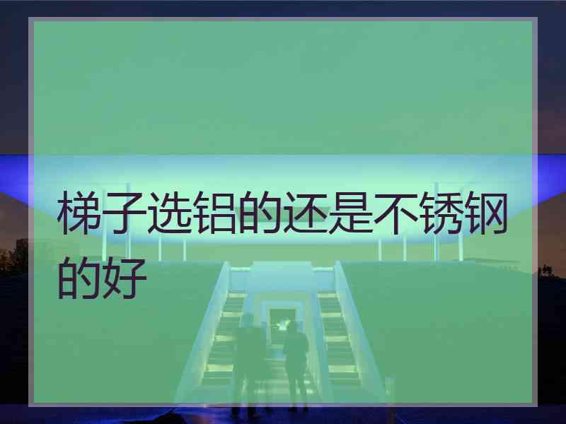 梯子选铝的还是不锈钢的好