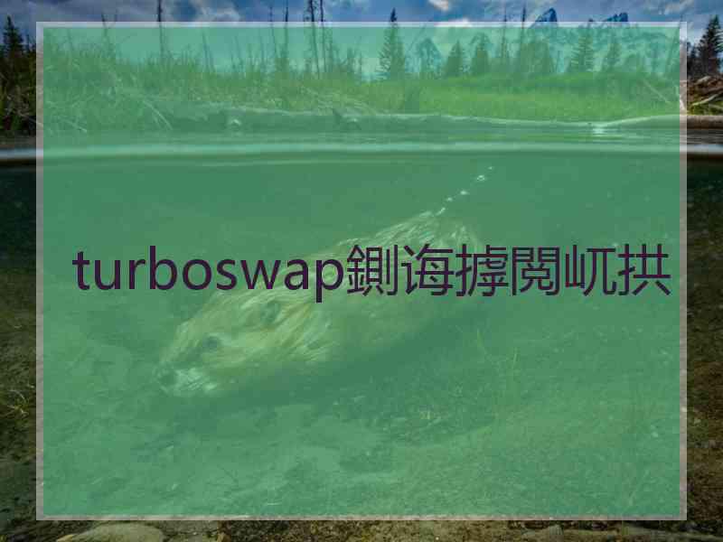 turboswap鍘诲摢閲屼拱