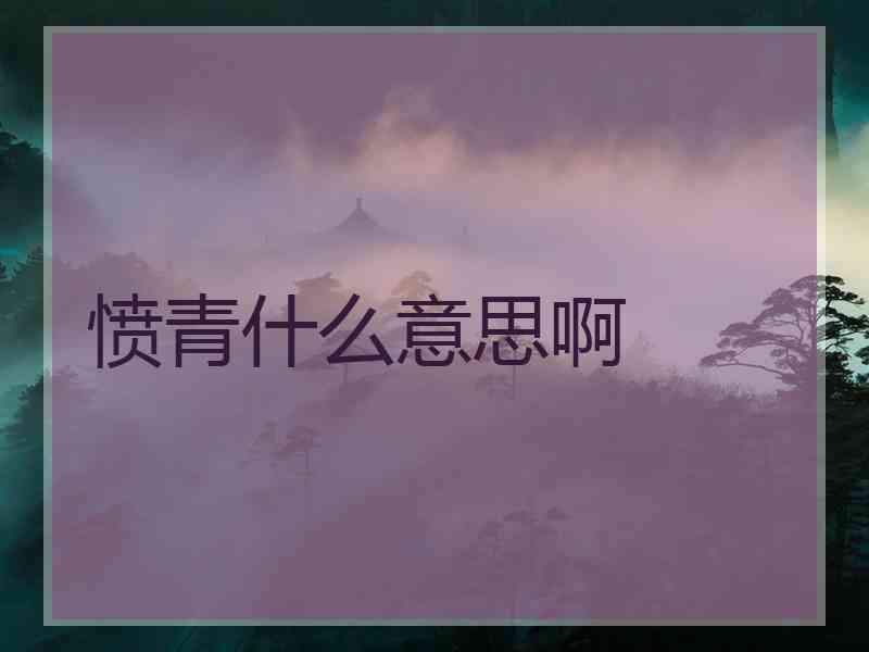 愤青什么意思啊