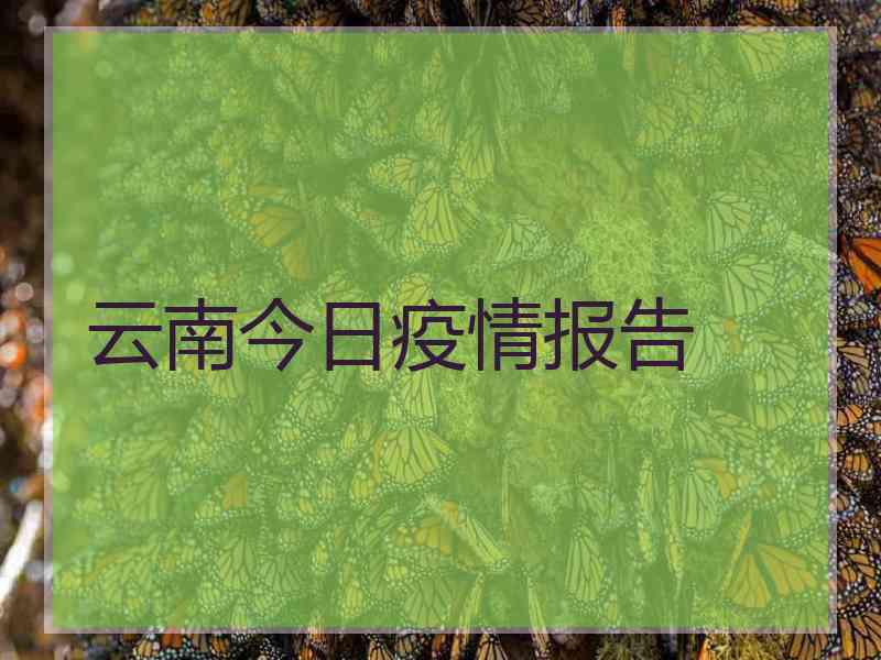 云南今日疫情报告