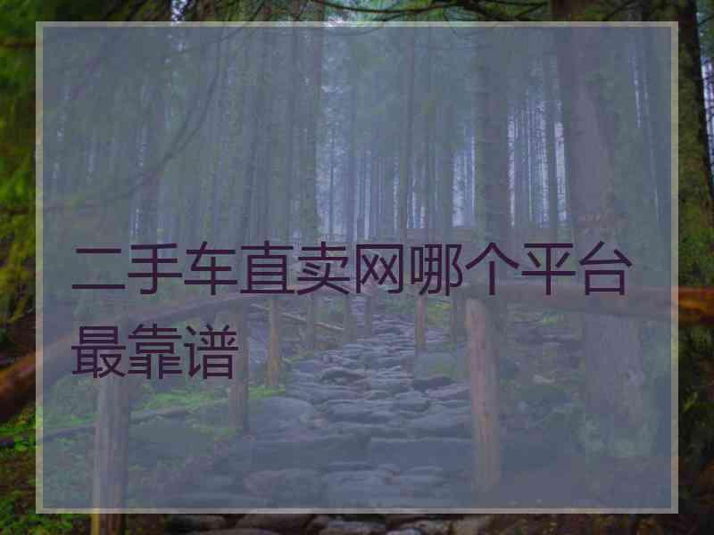 二手车直卖网哪个平台最靠谱