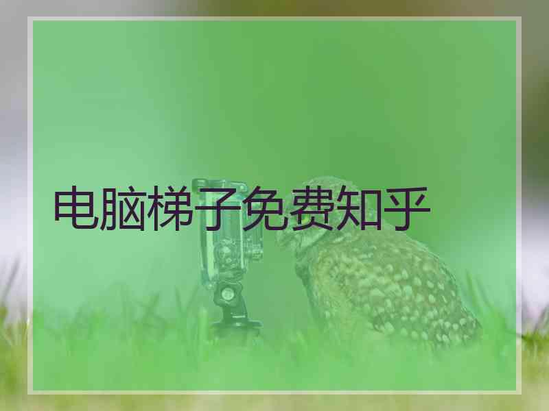 电脑梯子免费知乎