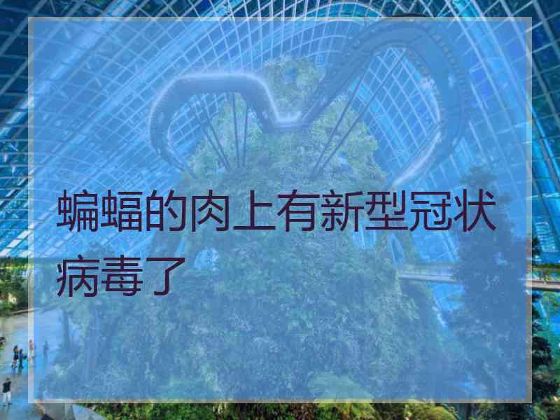 蝙蝠的肉上有新型冠状病毒了