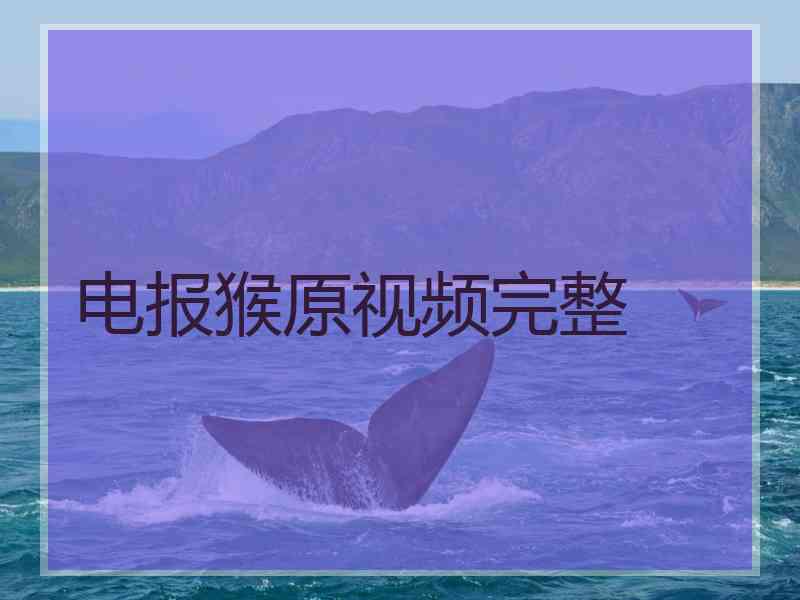 电报猴原视频完整
