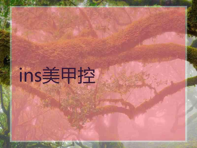 ins美甲控