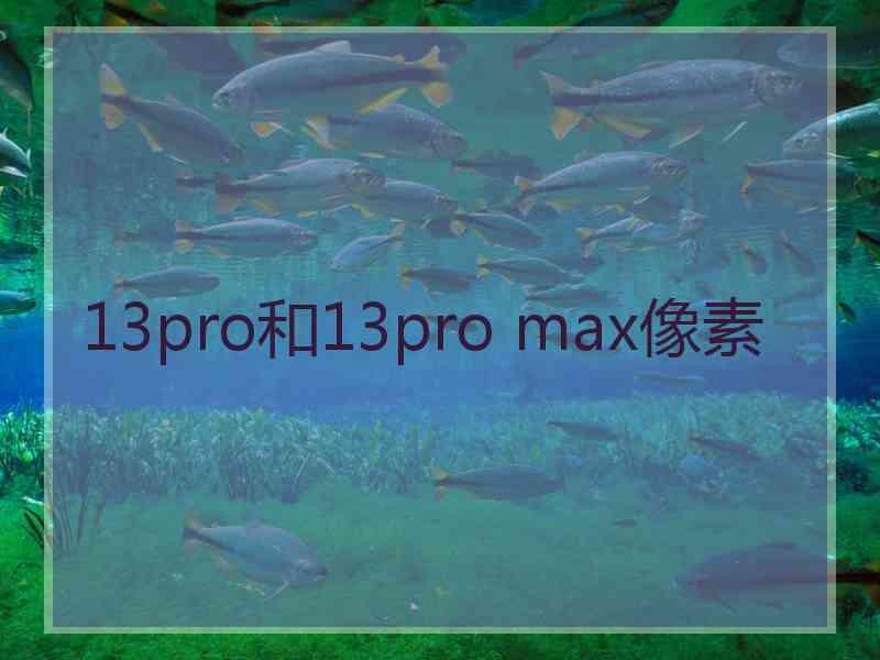 13pro和13pro max像素