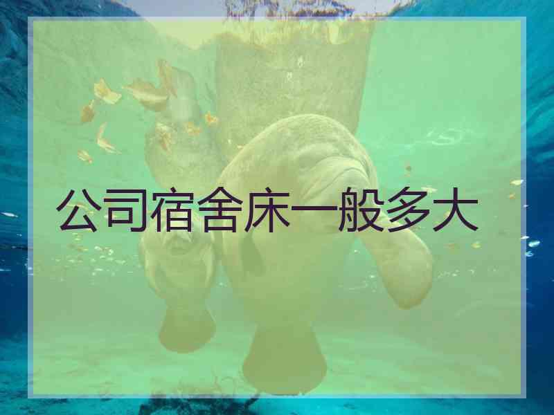 公司宿舍床一般多大