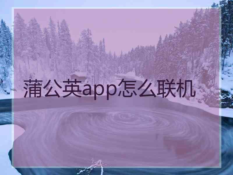 蒲公英app怎么联机