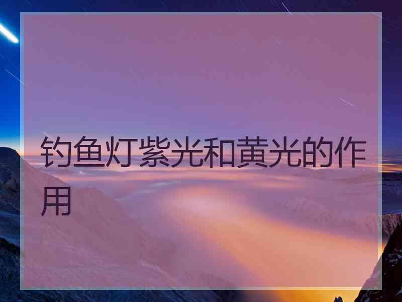 钓鱼灯紫光和黄光的作用