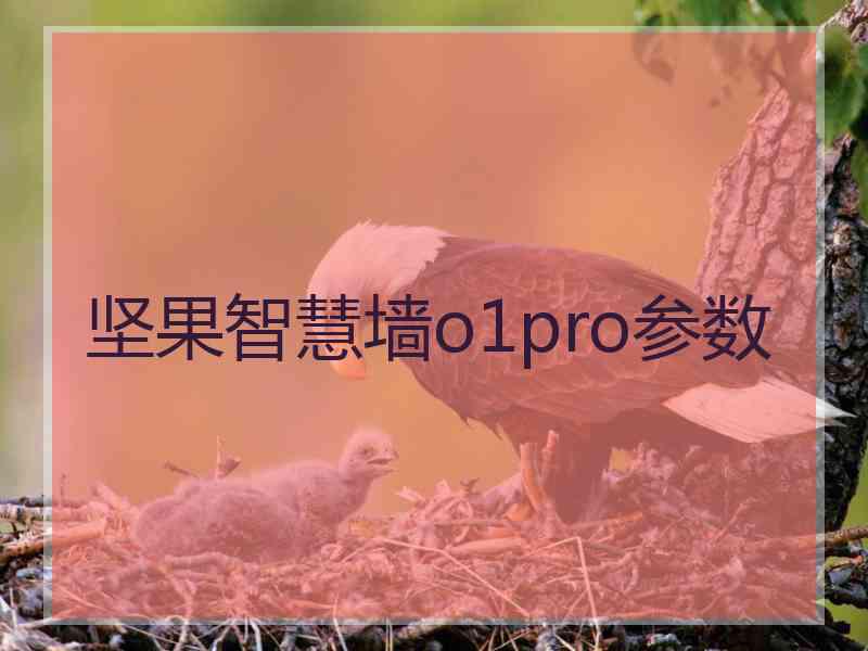 坚果智慧墙o1pro参数