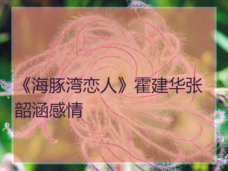 《海豚湾恋人》霍建华张韶涵感情
