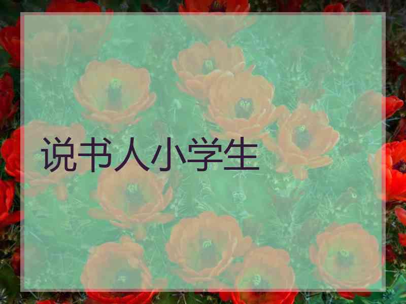 说书人小学生