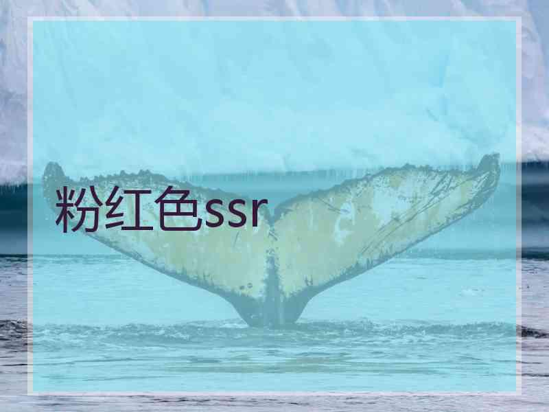 粉红色ssr