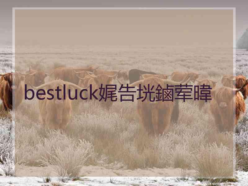 bestluck娓告垙鏀荤暐
