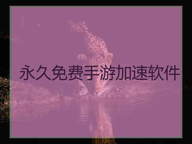 永久免费手游加速软件