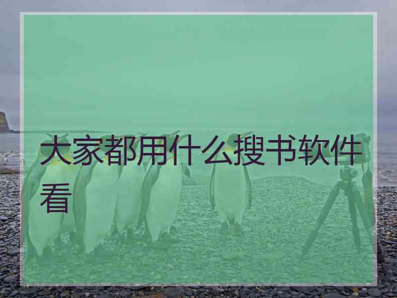 大家都用什么搜书软件看