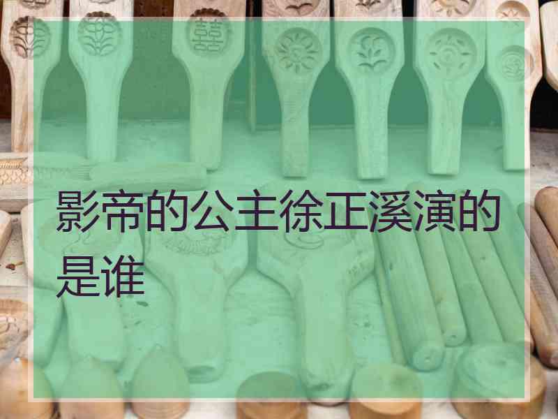 影帝的公主徐正溪演的是谁