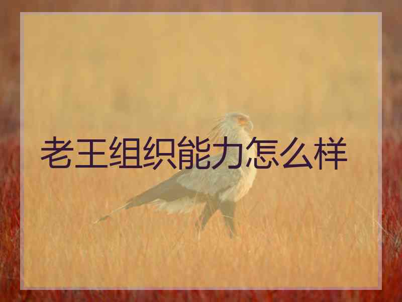 老王组织能力怎么样