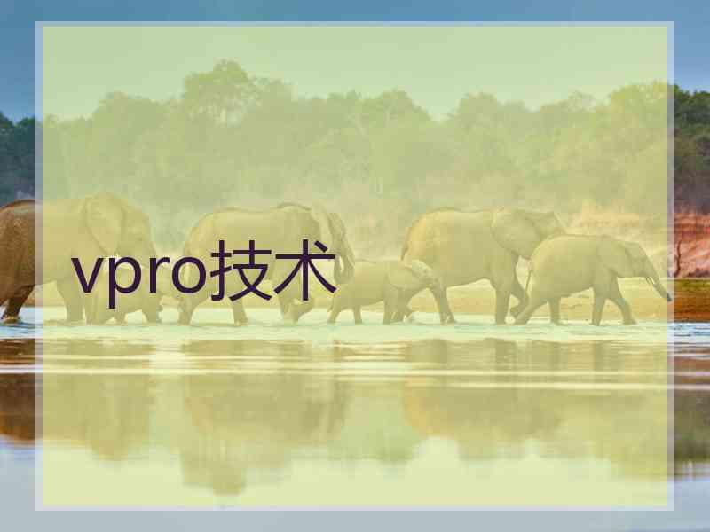 vpro技术
