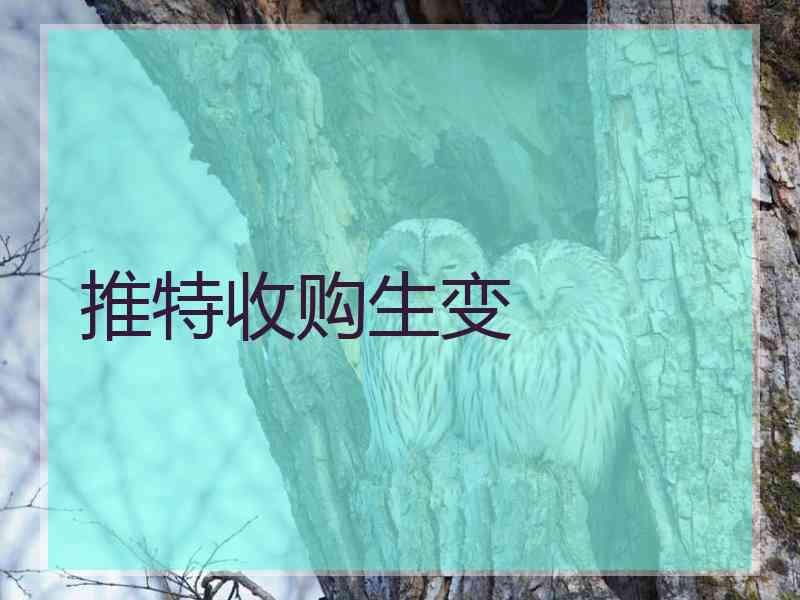 推特收购生变