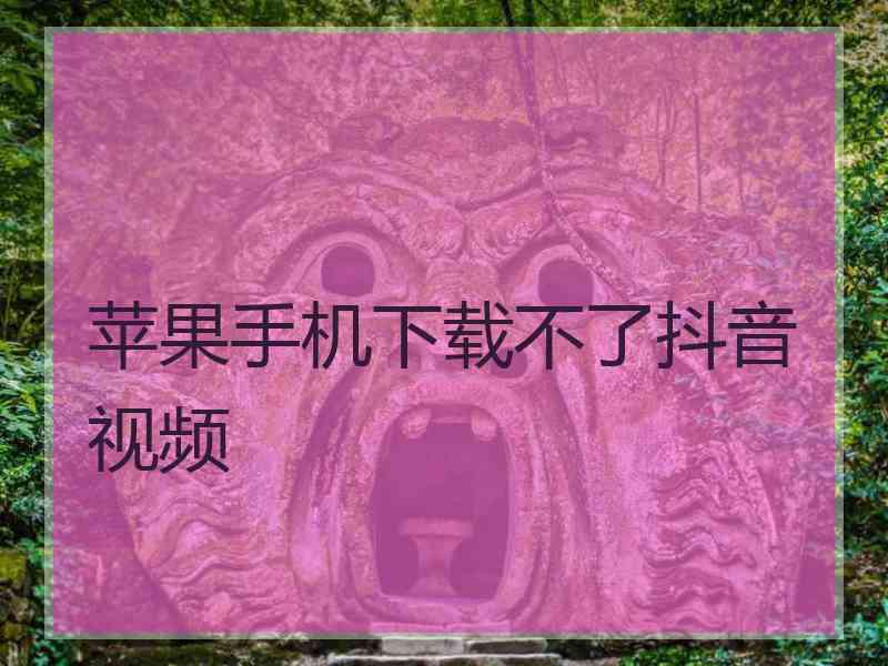 苹果手机下载不了抖音视频